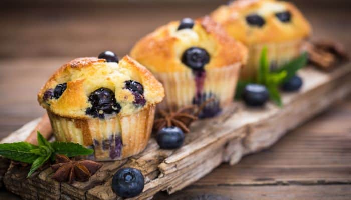 blueberry cheese or lactation muffins healthy hospital snacks for moms after delivery 