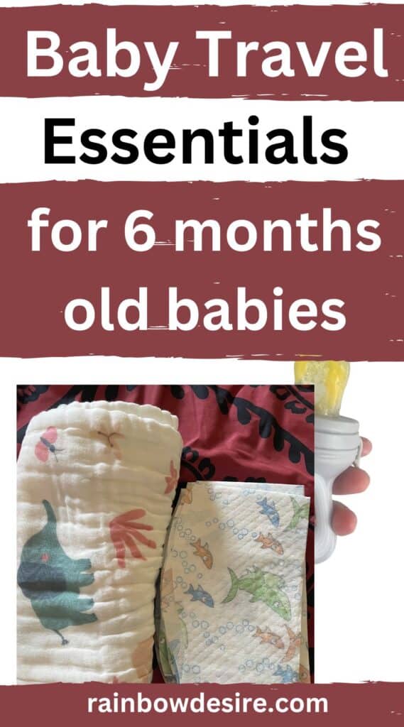 What travel essentials to pack for 6 month old baby 